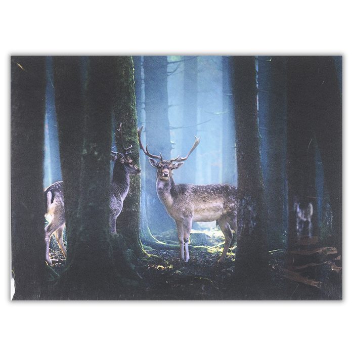 Deers Fotograf: Patrick Aurednik Två hjortar står mellan träd. Bilden går i mörka och ljusa blåa toner