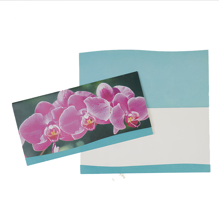 Dubbelt kort Orchideer