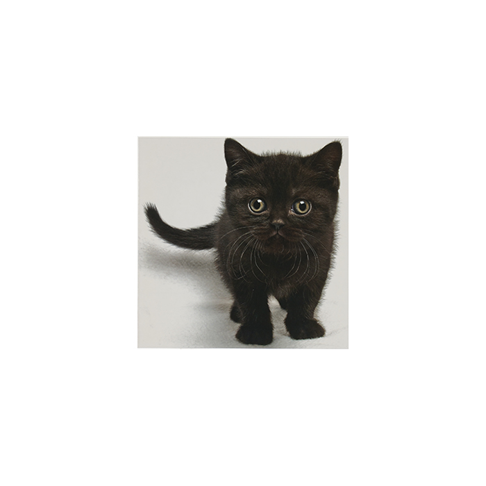 Vykort Svart katt