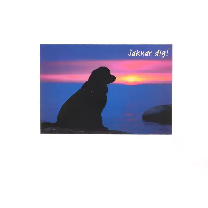 Vykort "Saknar Dig!" med hund