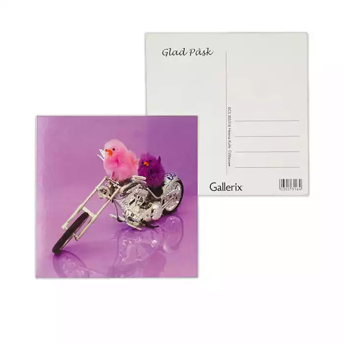 Kycklingar på motorcykel på lila bakgrund. Detaljer på motorcykeln är tryckta i silverfolie. Efter original av: Helena Kulle