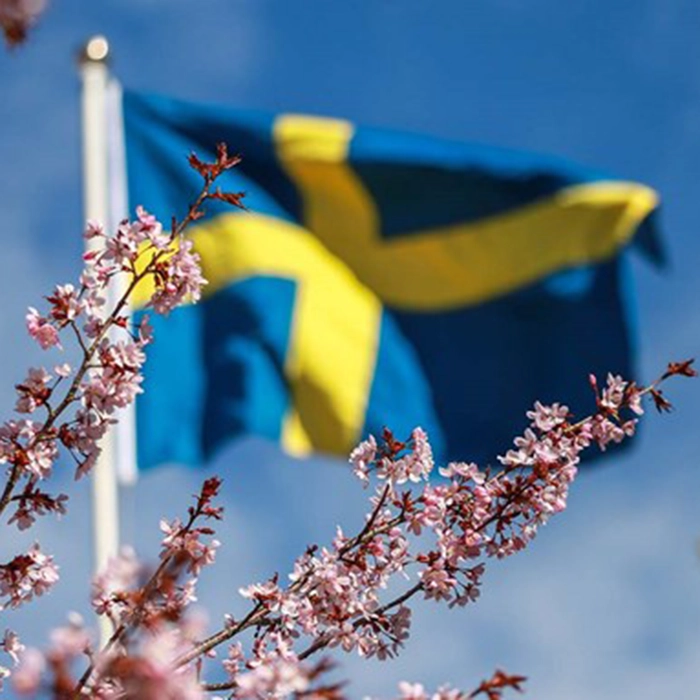 Nationaldag/Midsommar